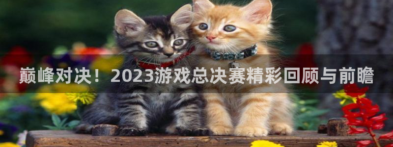 杜邦娱乐注册登录：巅峰对决！2023游戏总决赛精彩回顾与前瞻