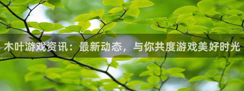 杜邦娱乐平台官网注册：木叶游戏资讯：最新动态，与你共度游戏美