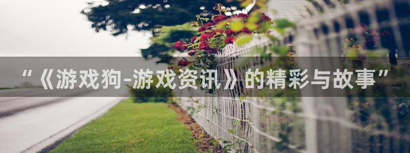 杜邦娱乐官网