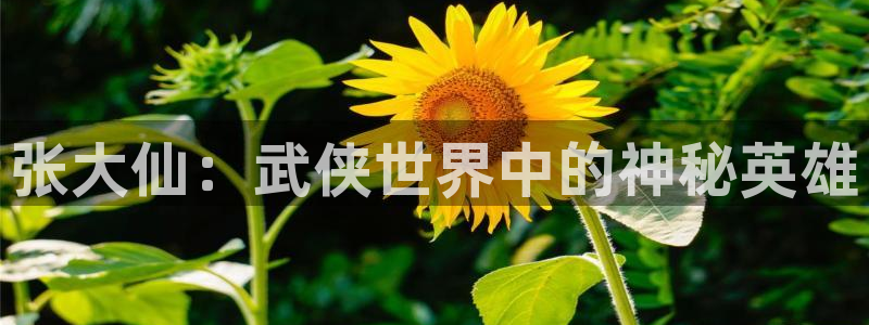 杜邦娱乐平台官网登录：张大仙：武侠世界中的神秘英雄
