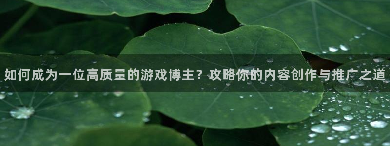杜邦娱乐网址官网：如何成为一位高质量的游戏博主？攻略你的内容