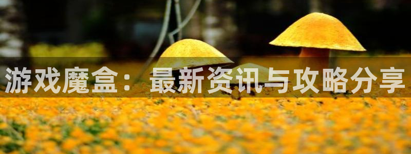 杜邦娱乐登录网址：游戏魔盒：最新资讯与攻略分享