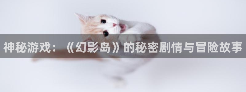 杜邦娱乐平台登录线路：神秘游戏：《幻影岛》的秘密剧情与冒险故
