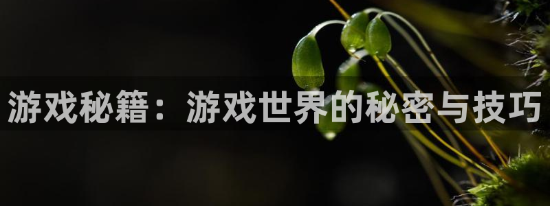 杜邦娱乐注册网站：游戏秘籍：游戏世界的秘密与技巧
