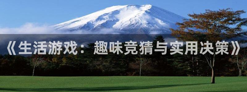 杜邦娱乐注册登录：《生活游戏：趣味竞猜与实用决策》