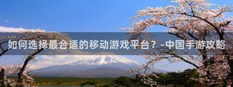 杜邦娱乐2首页登录：如何选择最合适的移动游戏平台？-中国手游
