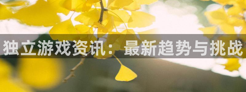 杜邦娱乐平台注册开户：独立游戏资讯：最新趋势与挑战
